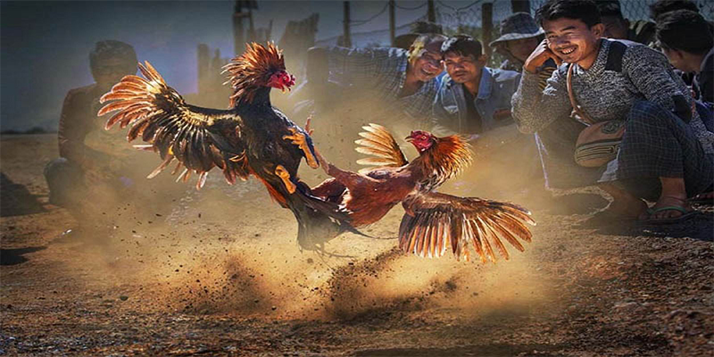 99oke xổ số bữa nay