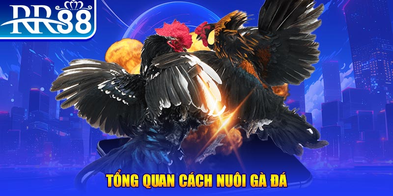 99oke game nổ hũ rút tiền mặt là gì