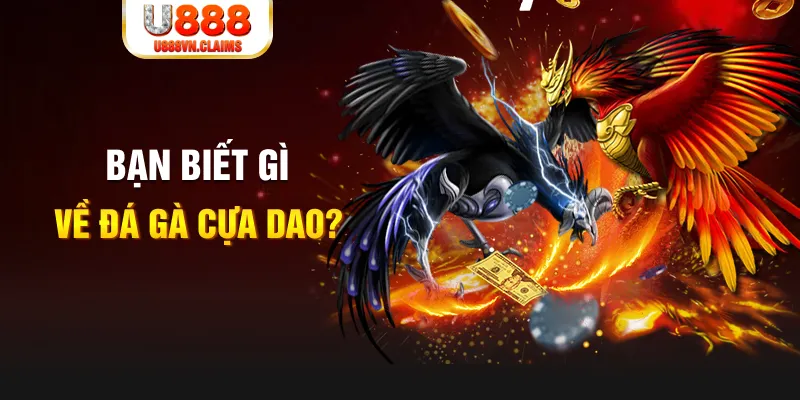 99oke SW Xổ Số