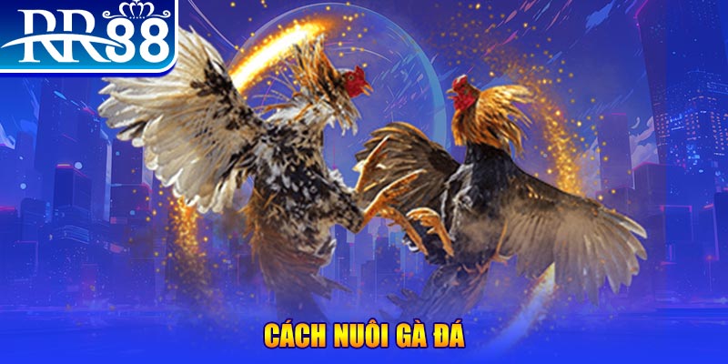 99oke đăng nhập phỏm đổi thưởng