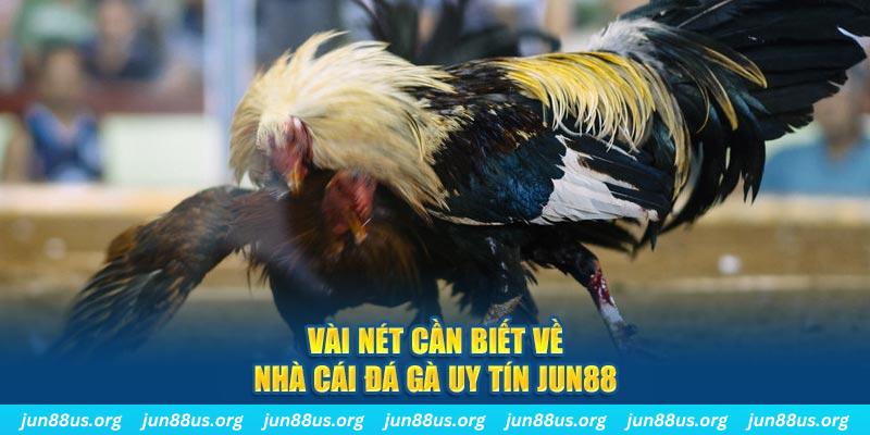 99oke đăng nhập phỏm khuyến mãi