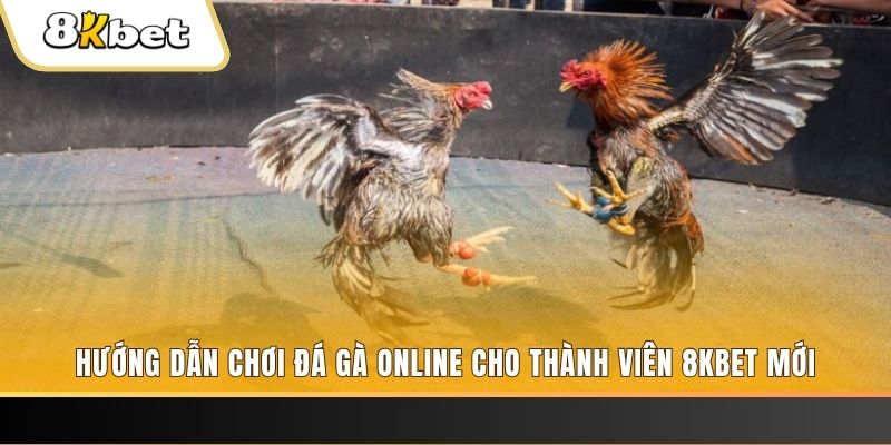 99oke JILI Game Bài 3d