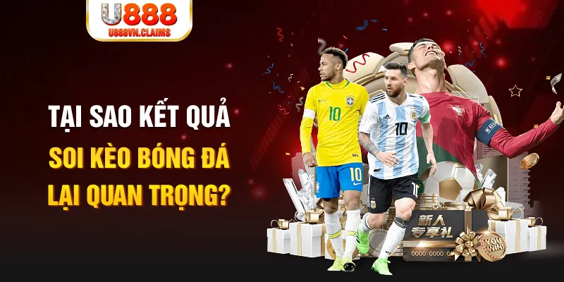 99oke Tôm Cua Cá 2