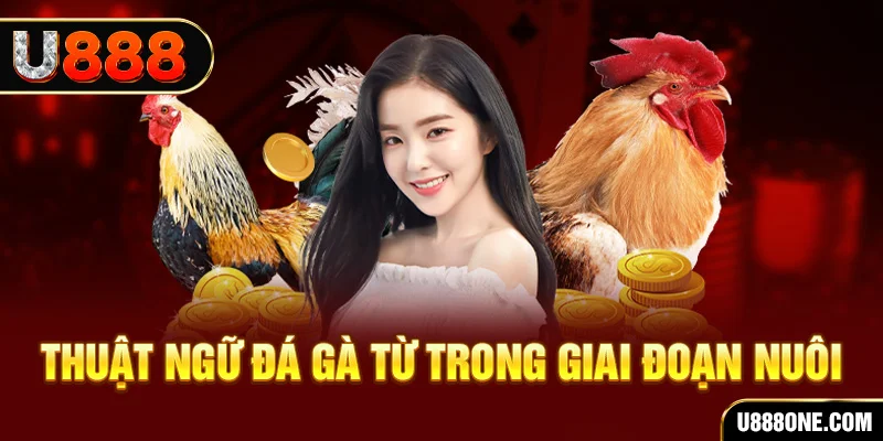99oke xổ số miền bắc 90 ngày