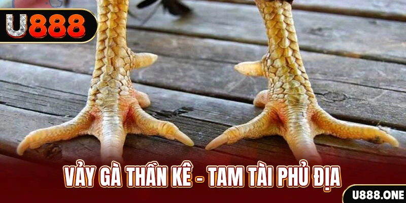 99oke xổ số miền trung thứ hai hàng tuần