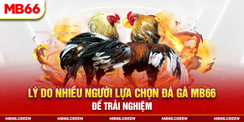 99oke đăng nhập liêng trực tiếp