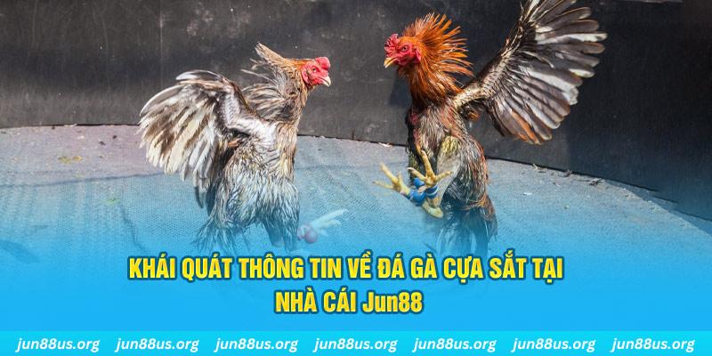 99oke xổ số miền bắc thứ bảy hàng tuần