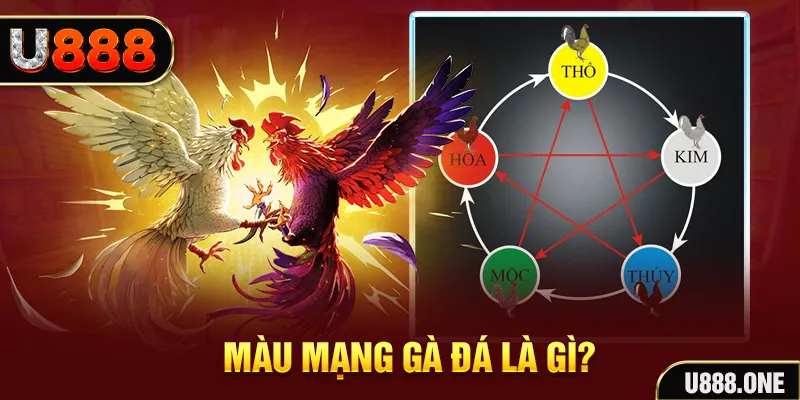99oke xổ số miền trung thứ tư hàng tuần