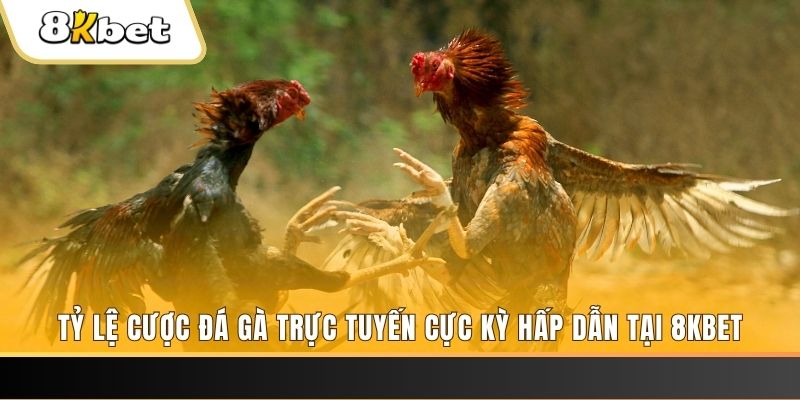 99oke đăng nhập mậu binh online