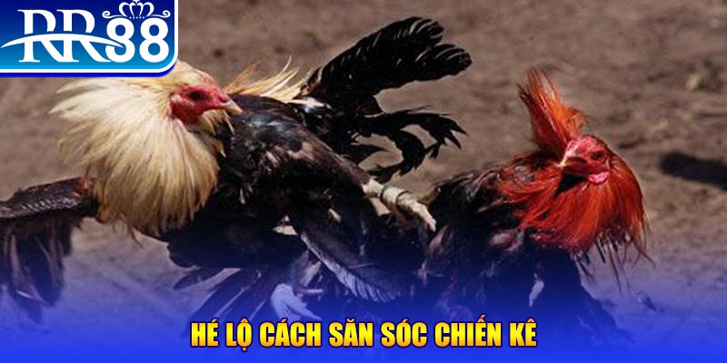 99oke xổ số miền trung thứ tư