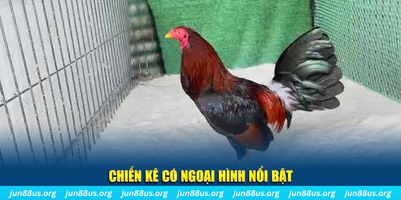 99oke game bắn cá