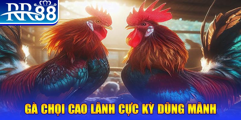 99oke HB Điện Tử