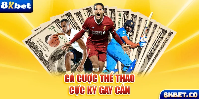 99oke xem đá gà trực tiếp